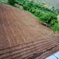 زمین و خانه کوله ساره