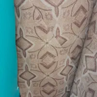 موکت در حدنو