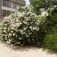 فروش-72-متر-1-خوابه-خوش-نقشه-و-شیک-شهرک-صدف