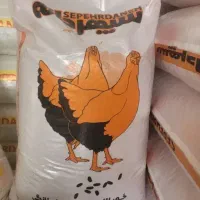 دانه مرغ تخم گذار سپهر دانه