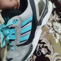zx8000دلفینی