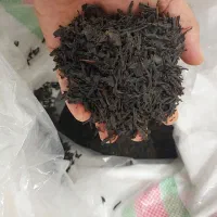 چای و چوب چای