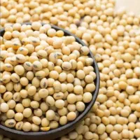 سویا|خوردنی و آشامیدنی|بیله سوار, |دیوار