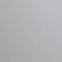 0912.۶۸۹.۲۵.۱۰