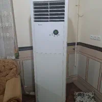 گور ایستاده ۴۸هزار گری
