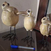 اکسسوری