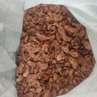 برگه زرد آلو شیرین و خوشمزه