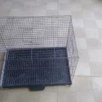 قفس پرنده