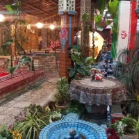 سالنکار و ویتر