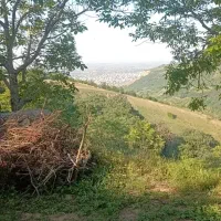 این زمین مخصوص افراد خاصه (با صدای بالا تماشا کن)