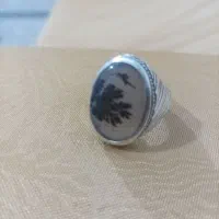 انگشتر شجر سنگ گوشت دار ورکاب دار