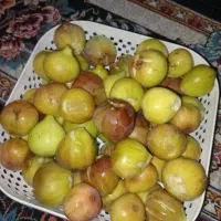 انجیر تازه کیلویی۳۰۰