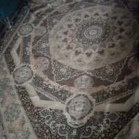کاملانونو