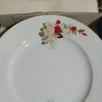 دودست پلوخوری زرین