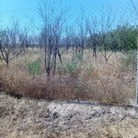 زمین-جهت-احداث-ویلا