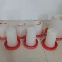ظرف مرغ