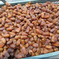 فروش عمده ی خرمای آلمهتری