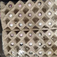 حراج بزرگ تخم‌مرغ(نصف قیمت بازار)