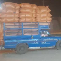 کاه|لوازم جانبی حیوانات|مسجد سلیمان, |دیوار