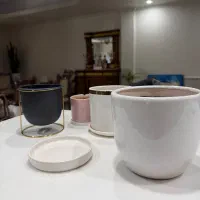 تعدادی گلدان نو و در حد نو