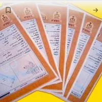 ضامن و ضمانت سند تک برگ برای دادگاه و زندان