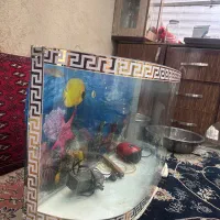 آکواریوم شیشه خم سفارشی وپمپ ومتعلقات