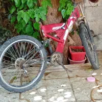 دوچرخه 26  . زرانگوش