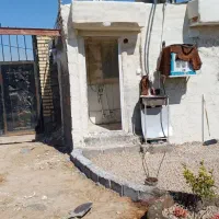 دامداری