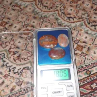 شجر منظره و پاییزه