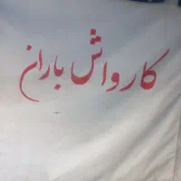 همکاری در کارواش