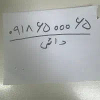 0918.65.000.65 دائمی