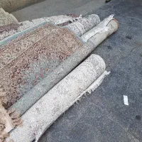 بازنشسته با سواد