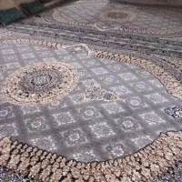 فروش دوعددفرش ۵۰۰شانه