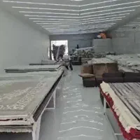 شاخه‌ها، تجرید یافته طرح درخت می‌باشند