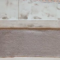۱۴عددروپله