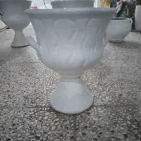 گلدان|گل و گیاه طبیعی|بوشهر, |دیوار