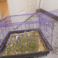 دو عدد قفس بزرگ و کوچک