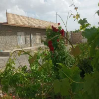 خونه جهت اسکان یک نفر خانوم