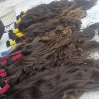 خریدار اصلی مو