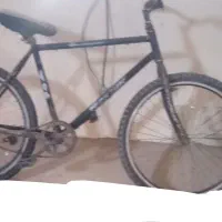 موتور