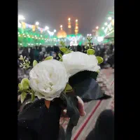 کاروان زیارتی کربلا