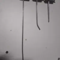 شاخک ۱۰ سانت به بالا و شاخک پانچی