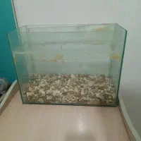 اکواریوم