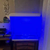 آکواریوم شیشه خم دلسا 500k