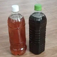 شربت ریواس خانگی بدون مواد افزودنی