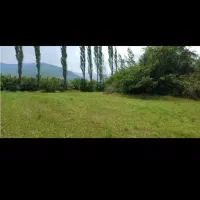 فروش-زمین-کشاورزی
