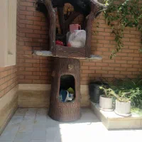 باربیکیو