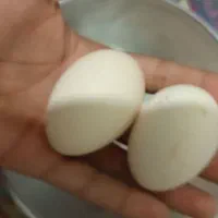 تخم نطفه دار گلین فول