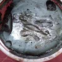 قره تمشک