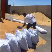 خریدار جو محلی